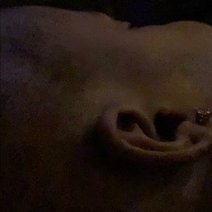 Meet your Posher, Roray